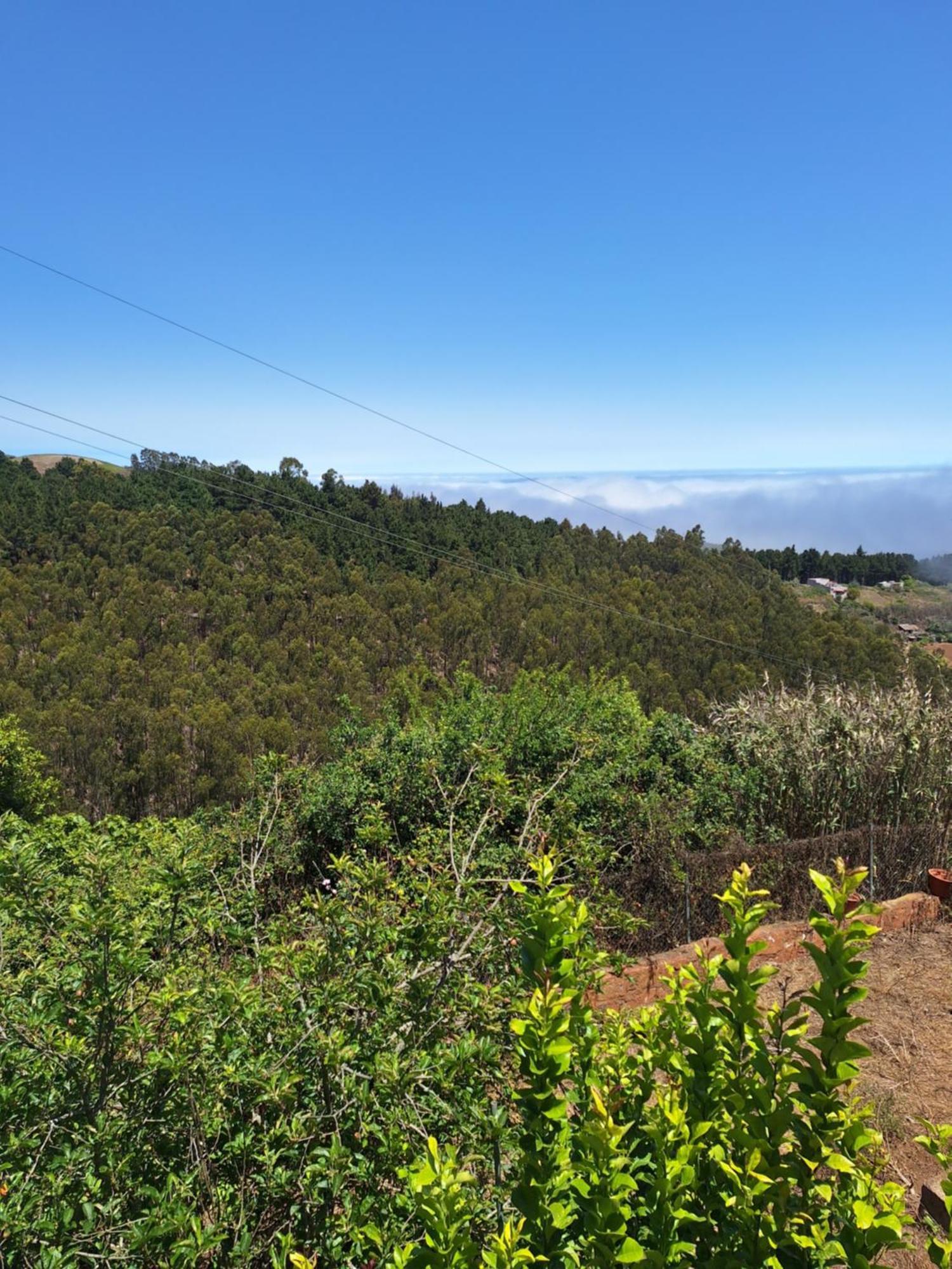 Finca Esther Las Palmas de Gran Canaria Exterior photo